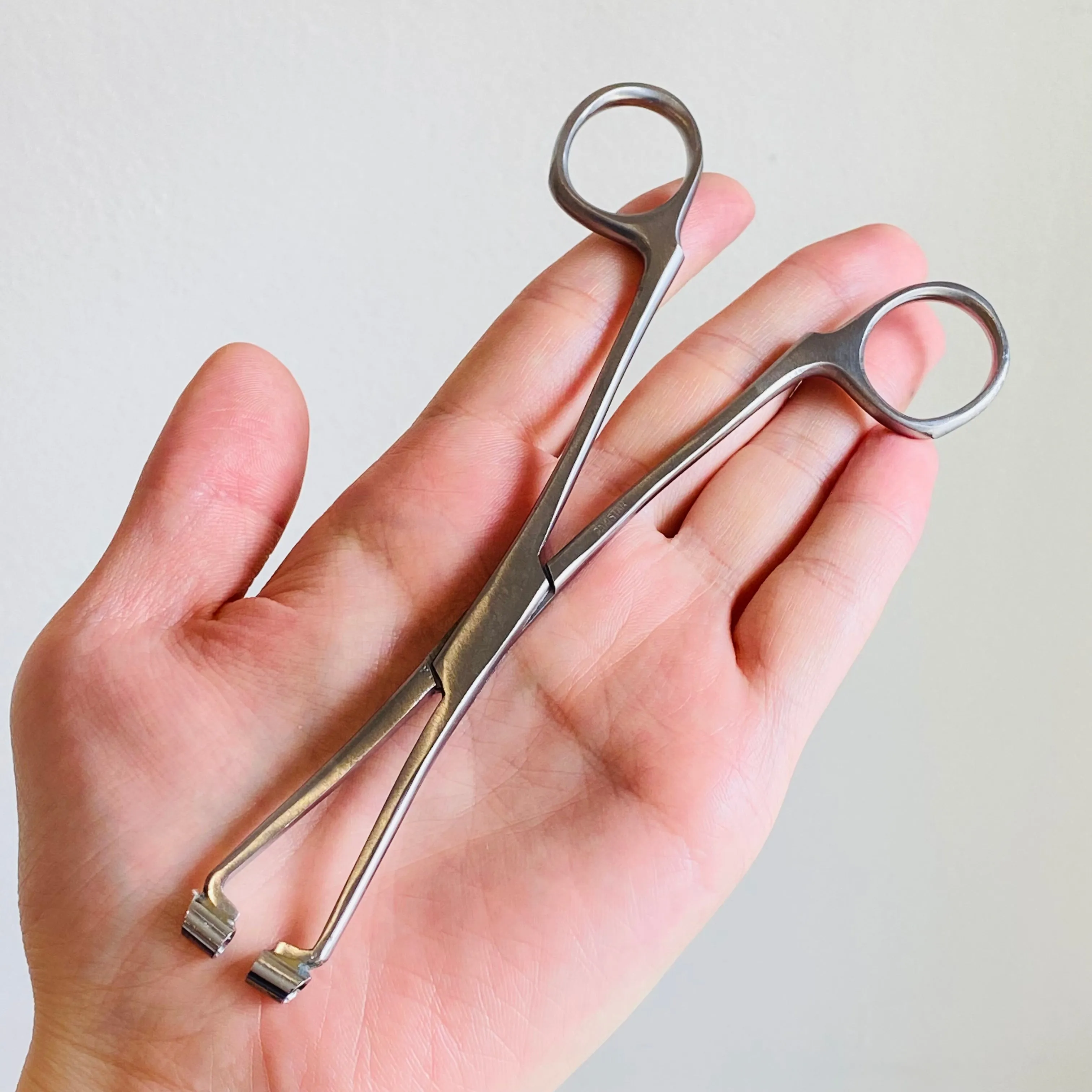 Premium Septum Clamp Forceps 6.5"